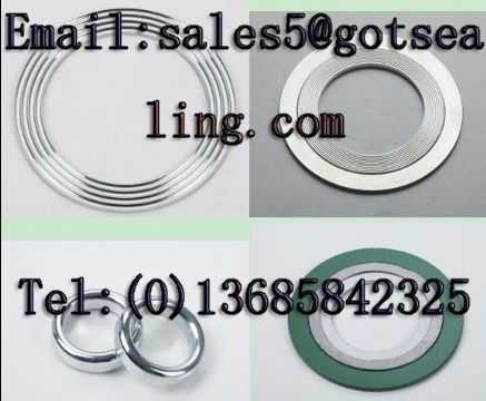 Graphite Spiral Wound Gasket